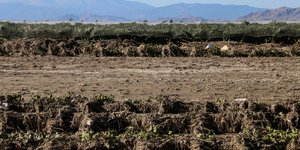 Ζημιές από φυσικές καταστροφές σε αγροτική παραγωγή στην Ελλάδα