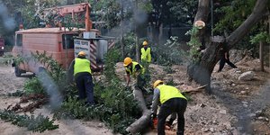 Κοπή δέντρων στην πλατεία Εξαρχείων