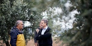 Σε ελαιώνα στην Αταλάντη ο Κυριάκος Μητσοτάκης