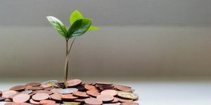 Φωτογραφία: micheile henderson/Unsplash