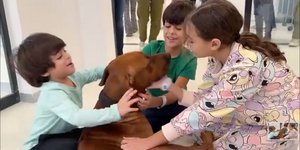 Τα τρία παιδιά Ισραηλινών, όμηροι στη Γάζα, τρελάθηκαν όταν είδαν ξανά τον σκύλο τους