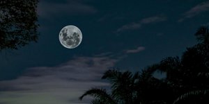 Πανσέληνος Νοεμβρίου