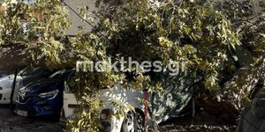 Δυνατός αέρας ξερίζωσε πλάτανο που καταπλάκωσε δύο αυτοκίνητα στην Άνω Πόλη Θεσσαλονίκης