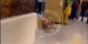 Ποντίκια σε κατάστημα στη Τουρκία