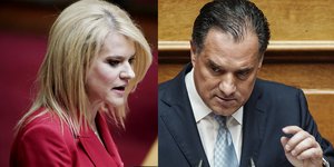 Θεοδώρα Τζάκρη, Αδωνις Γεωργιάδης