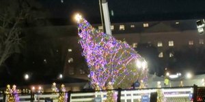 χριστουγεννιάτικο δέντρο