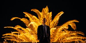 Άνδρας φοίνικας Selfie Social Media 