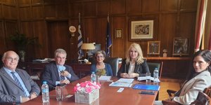 Η Υφυπουργός Ανάπτυξης Αννα Μάνη - Παπαδημητρίου