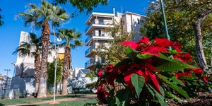 αλεξανδρινα παρκο 