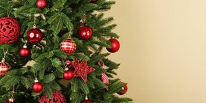 Πρέπει να πλένεται το χριστουγεννιάτικο δέντρο; Γυναίκα διχάζει το Διαδίκτυο αφού καθάρισε το δέντρο στην μπανιέρα της