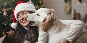 Τα τυχερά ζώδια των Χριστουγέννων 