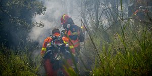 Τη δημιουργία 10 νέων μονάδων δασοκομάντος, ανακοίνωσε ο Βασίλης Κικίλιας