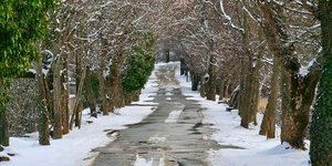 Δρόμος της αγάπης