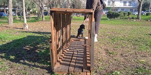 μαυρος σκυλος ξυλινο κουτι