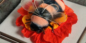 Πιάτο στο εστιατόριο Delta