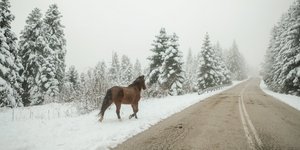 Χιόνια στο Περτούλι Τρικάλων