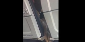 Γυναίκα τα έβαλε με την American Airlines γιατί επέτρεψε σε μεθυσμένη επιβάτιδα να επιβιβαστεί σε πτήση