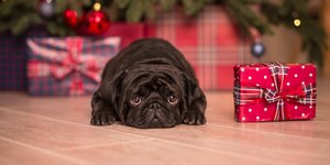 Τα τρία ζώδια που θα περάσουν τα πιο δύσκολα Χριστούγεννα