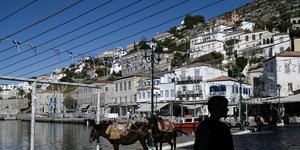 γαιδουρακια υδρα
