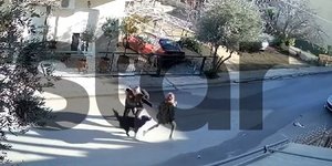 Η στιγμή της επίθεσης του σκύλου στον 9χρονο