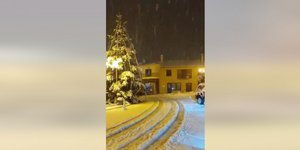 δεντρο χιονι