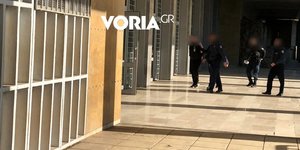 Προφυλακίστηκε ο 37χρονος ιδιοκτήτης των σκυλιών που κατασπάραξαν την 50χρονη