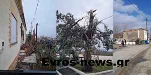 Καταστροφές από ανεμοστρόβιλο στον Έβρο