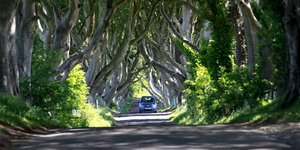Αυτοκίνητο στον δρόμο dark hedges στη Βόρεια Ιρλανδία