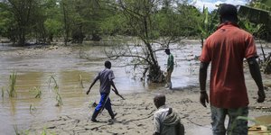 κονγκο πλατες λασπη 
