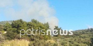 Φωτιά στο Επιτάλιο Ηλείας