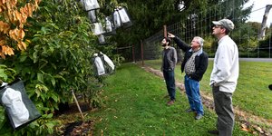 Γενετικά τροποποιημένα φυτά 