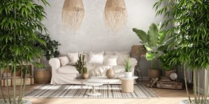 Σαλόνι με φυτά εσωτερικού χώρου