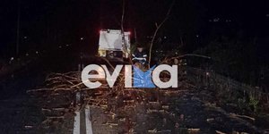 Κακοκαιρία στην Εύβοια: Ισχυρό μπουρίνι προκάλεσε πτώσεις δένδρων και διακοπές ρεύματος