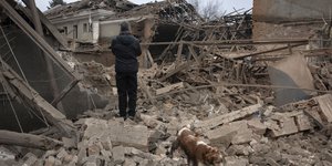 χαλασματα αντρας πλατη και σκυλος