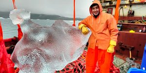 Ο Malik V Rasmussen, ο συνιδρυτής της Arctic Ice