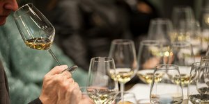 masterclass μαλαγουζιάς