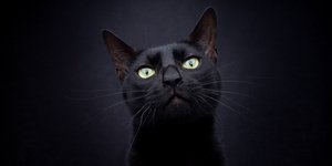 Φωτογραφία: Shutterstock