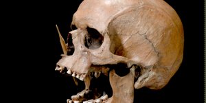 νεκροκεφαλη προφιλ