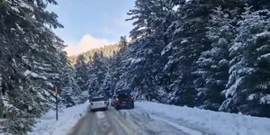 Αυτοκίνητα στον Παρνασσό