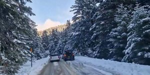 Αυτοκίνητα στον Παρνασσό