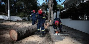 Πτώση δέντρου λόγω της κακοκαιρίας
