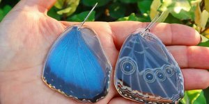 Χειροποίητα κοσμήματα από φτερά πεταλούδας 