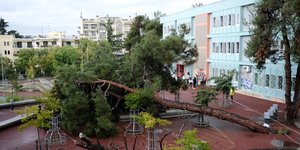 Πτώση δέντρου σε σχολείο