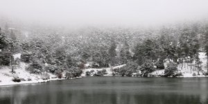 Ιπποκράτειος Πολιτεία 