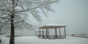 χιονι στεγαστρο δεντρο