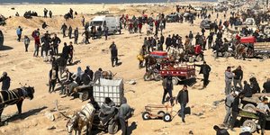 αμμόλοφοι γαζα κοσμος