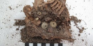 Αρχείο ανασκαφής Λαζάρηδων