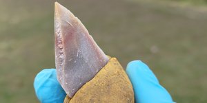 Λίθινο εργαλείο κολλημένο σε λαβή