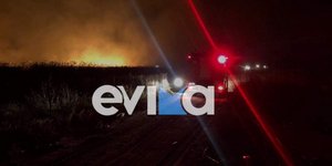 Νέα φωτιά στην Εύβοια