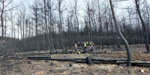 ΥΠΕΝ: Ολοκλήρωση κατά 70% αντιδιαβρωτικών έργων σε Δ. Αττική-Πάρνηθα